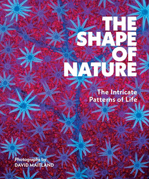 Shape Of Nature Life Stories Behind Na