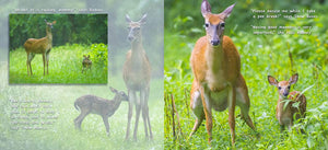 Snow Bunny the Deer Children's Book,Used