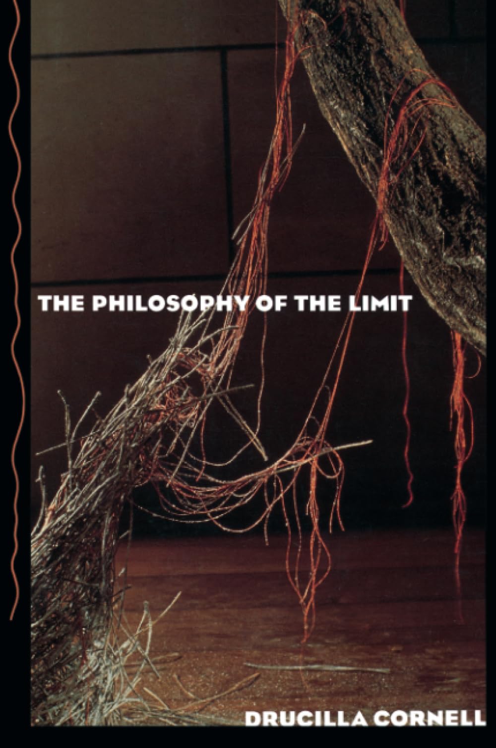 The Philosophy of the Limit,New