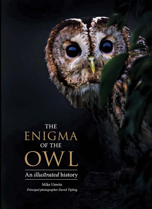 The Enigma Of The Owl: An Illustrated Natural History