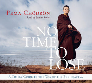No Time To Lose: A Timely Guide To The Way Of The Bodhisattva,Used