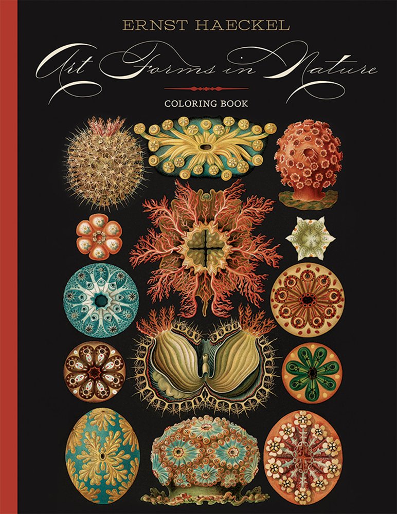 Ernst Haeckel: Art Forms in Nature Coloring Book,Used