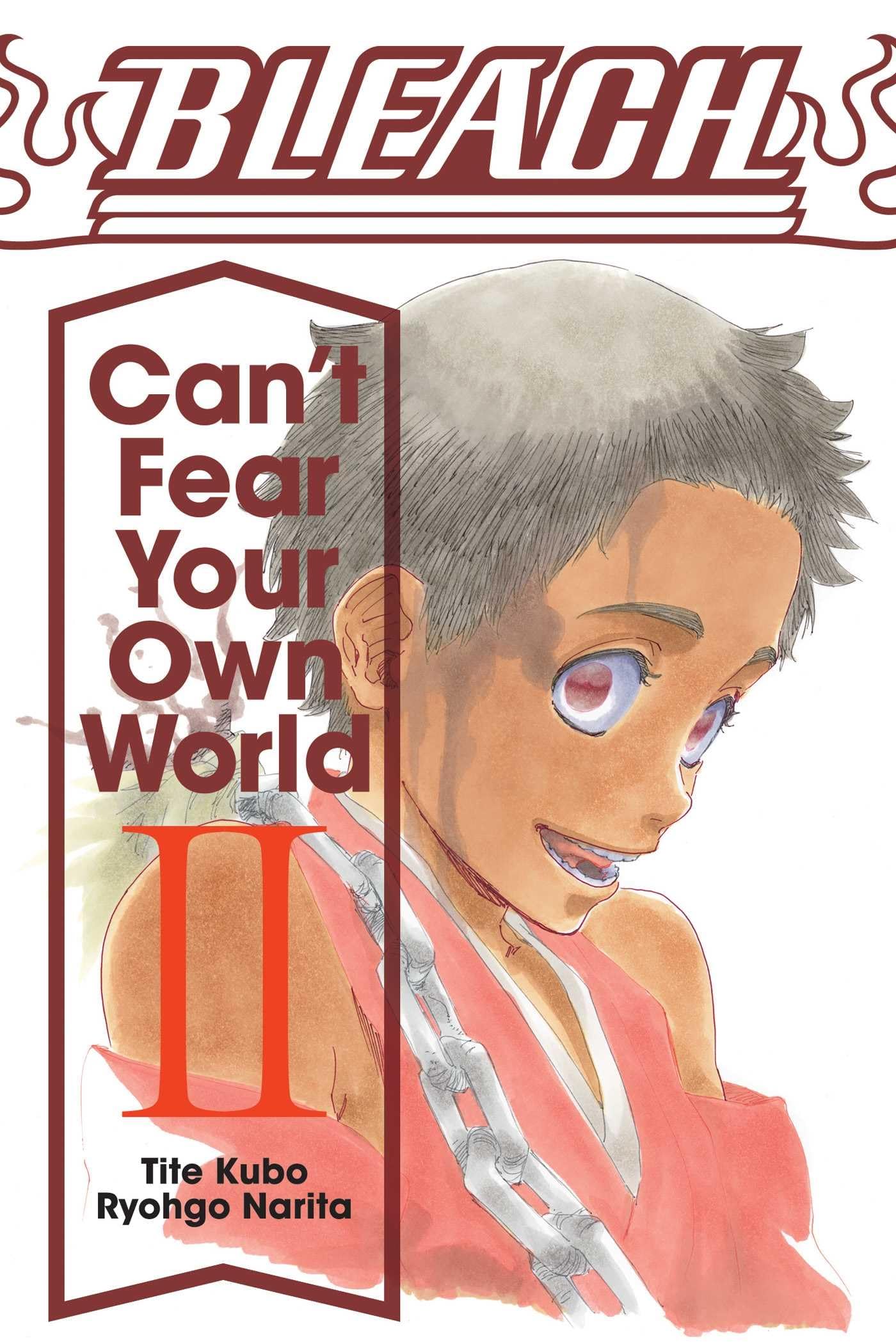 Bleach: Can't Fear Your Own World, Vol. 2 (2),Used