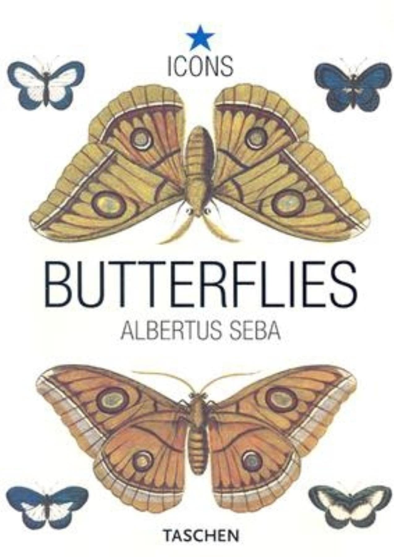 Seba, Butterflies
