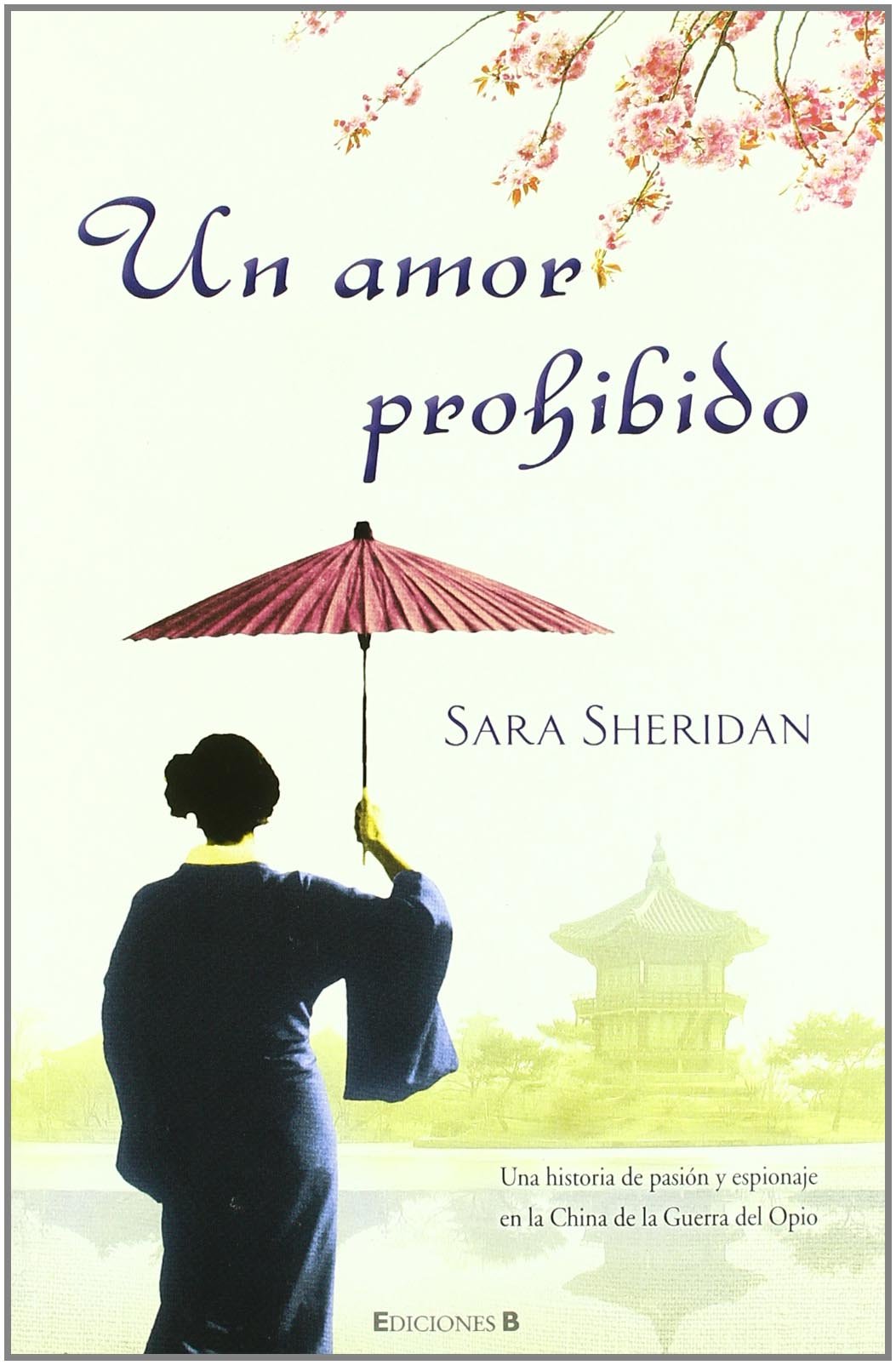 Un Amor Prohibido (Spanish Edition),Used