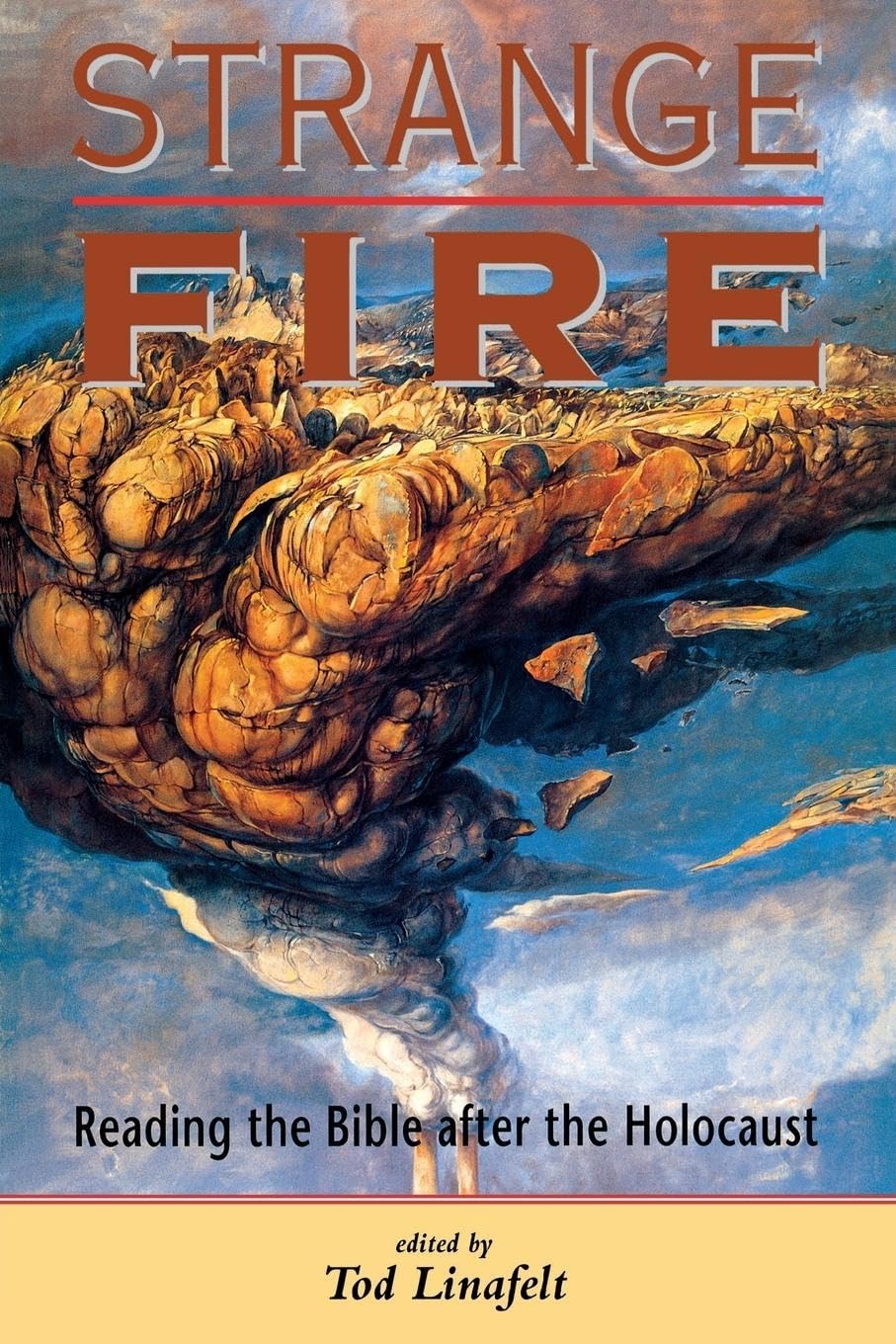 Strange Fire: Reading The Bible After The Holocaust,Used