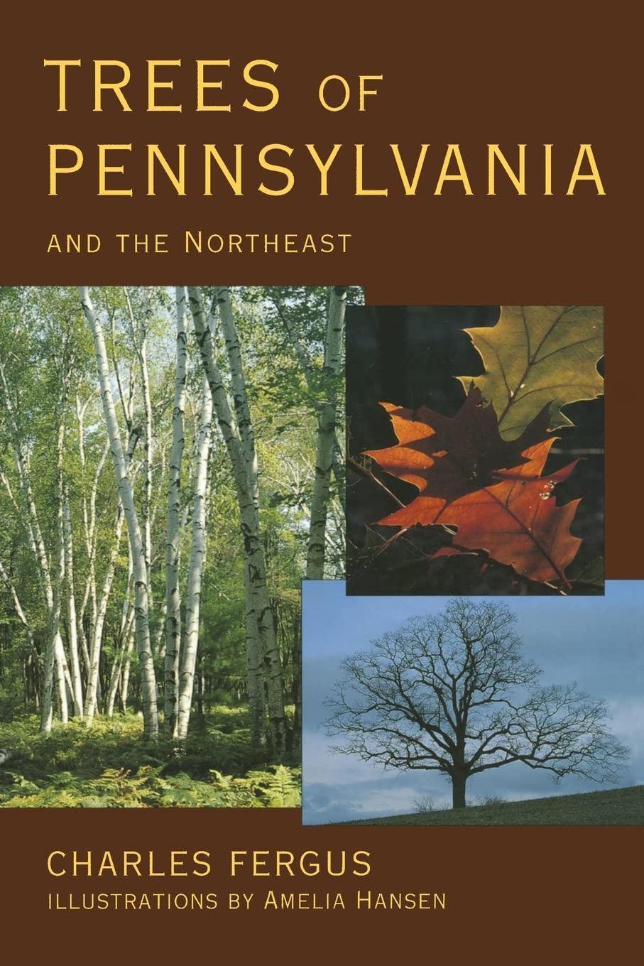Trees of Pennsylvania: and the Northeast,Used