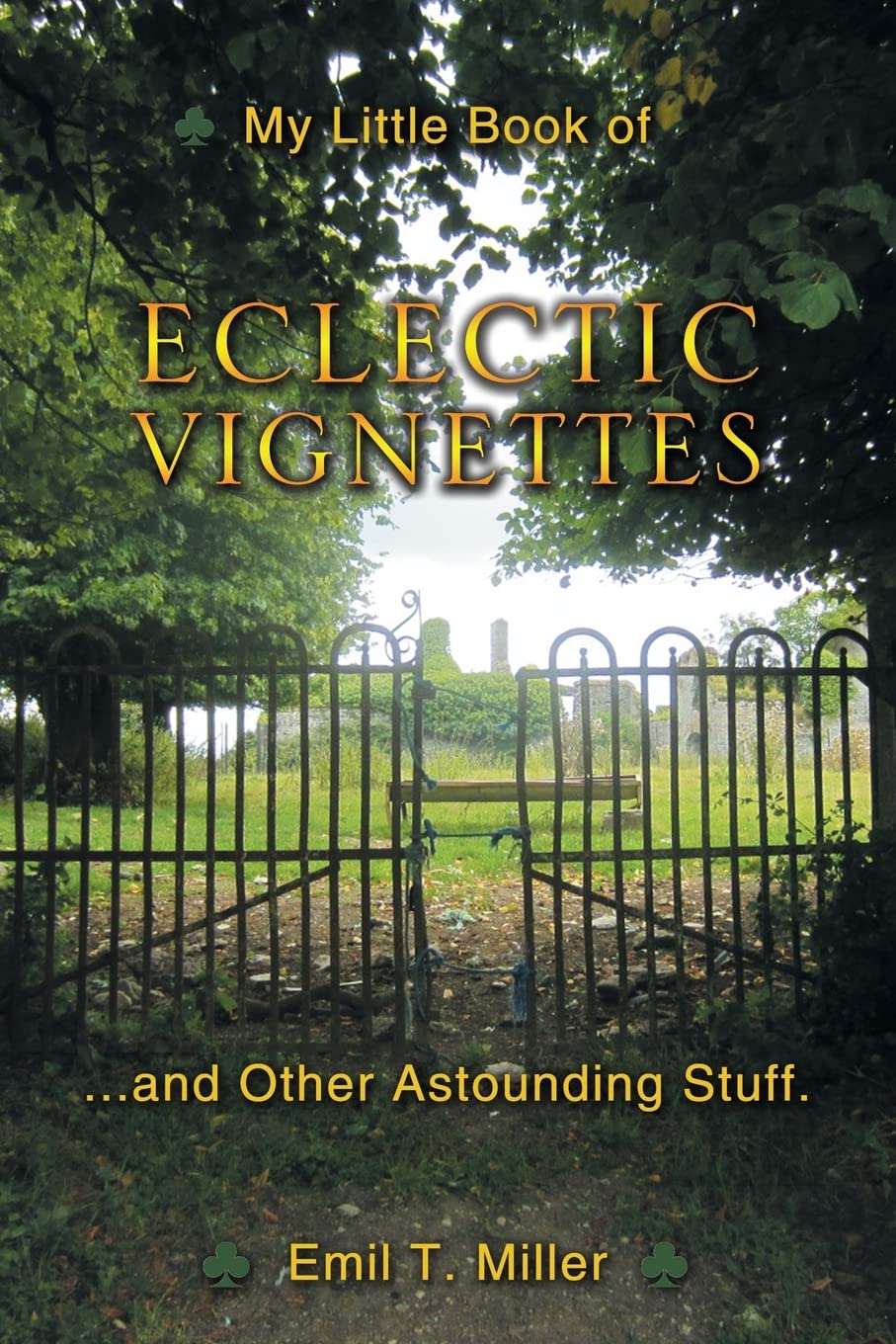 My Little Book of Eclectic Vignettes,Used