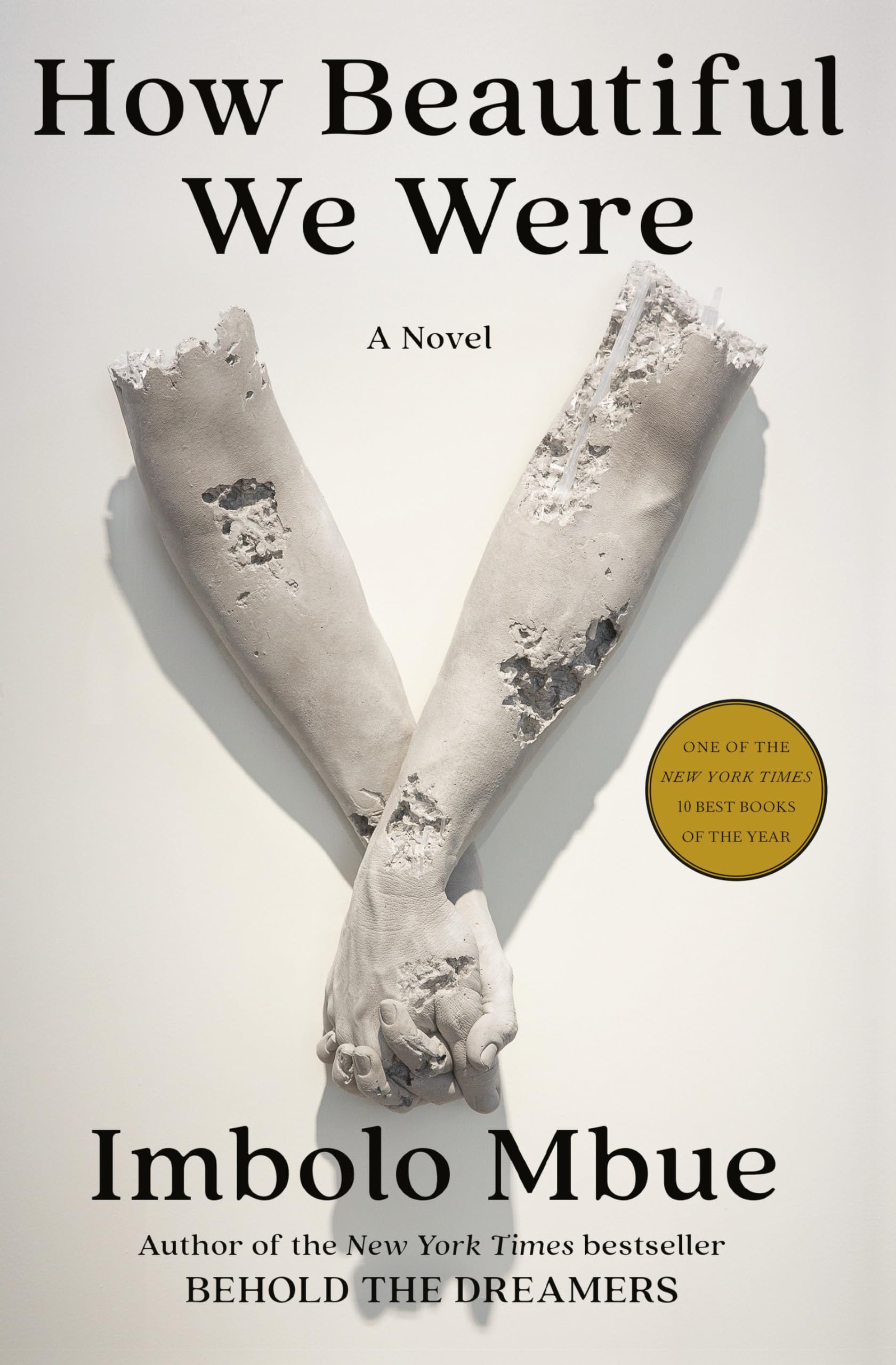 How Beautiful We Were: A Novel,Used
