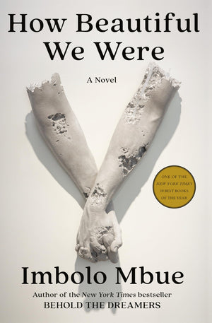 How Beautiful We Were: A Novel,Used
