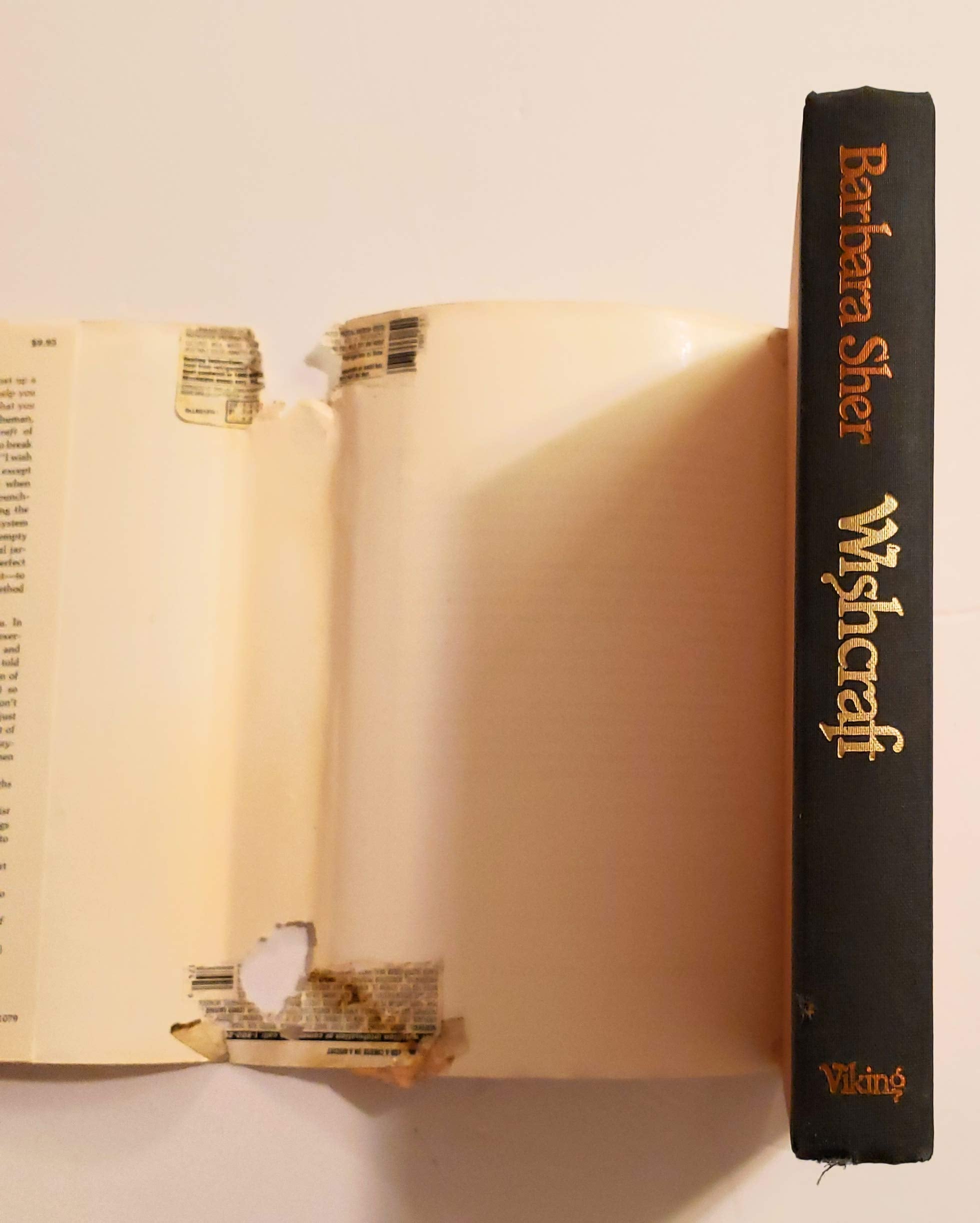 Wishcraft,New