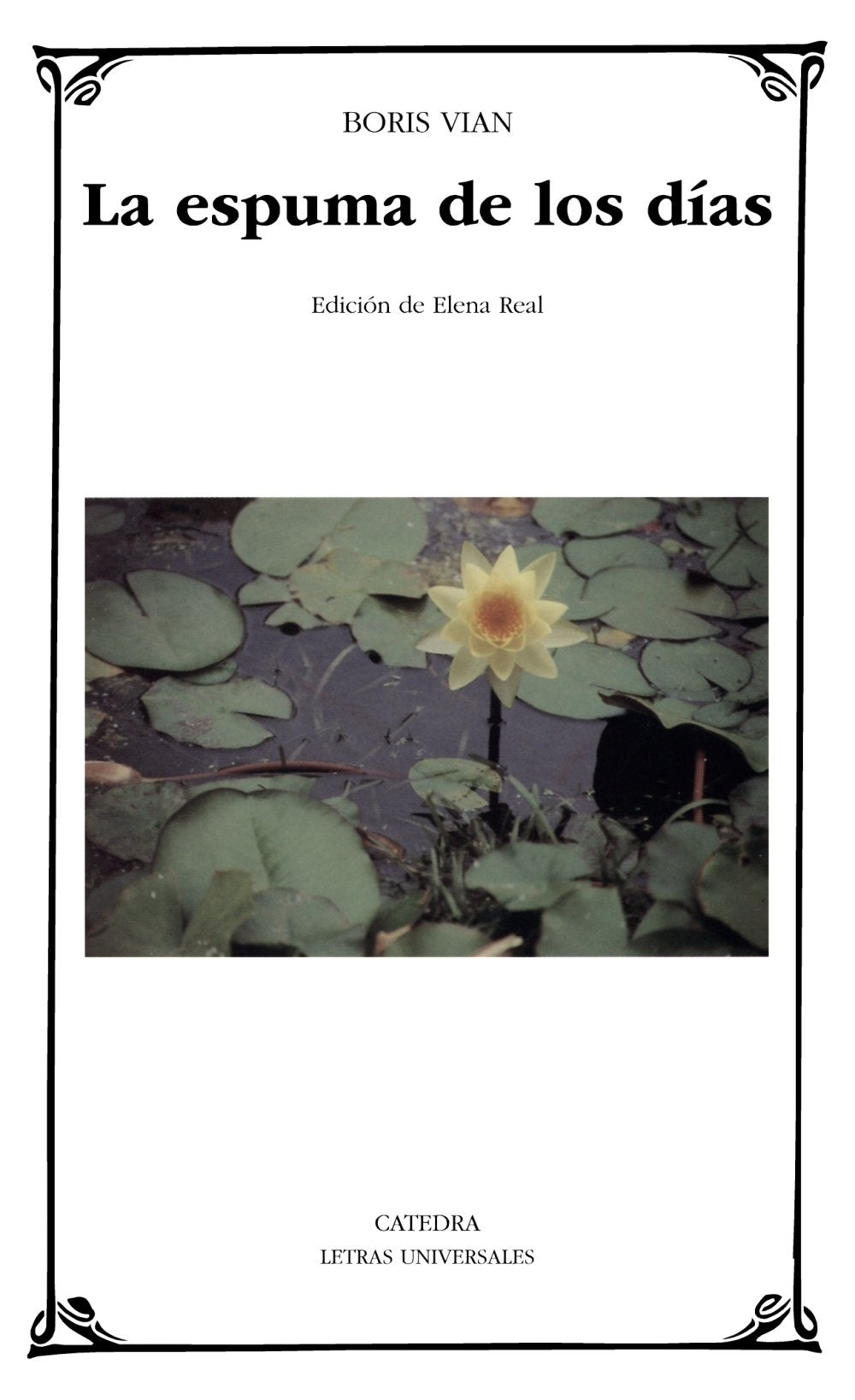 La espuma de los das (Letras universales/ Universal Writings) (Spanish Edition),Used
