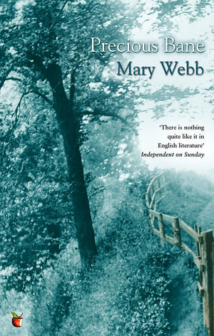 Precious Bane (Virago Modern Classics)