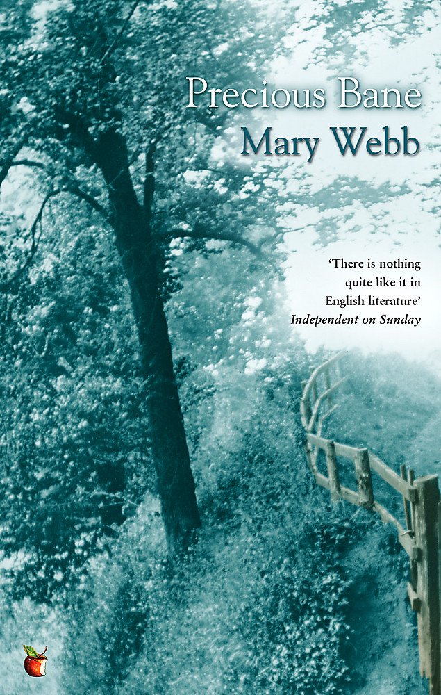 Precious Bane (Virago Modern Classics)