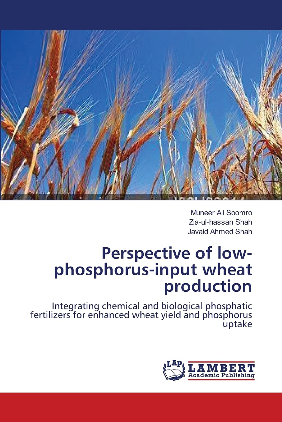 Perspective of lowphosphorusinput wheat production: Integrating chemical and biological phosphatic fertilizers for enhanced wh,Used