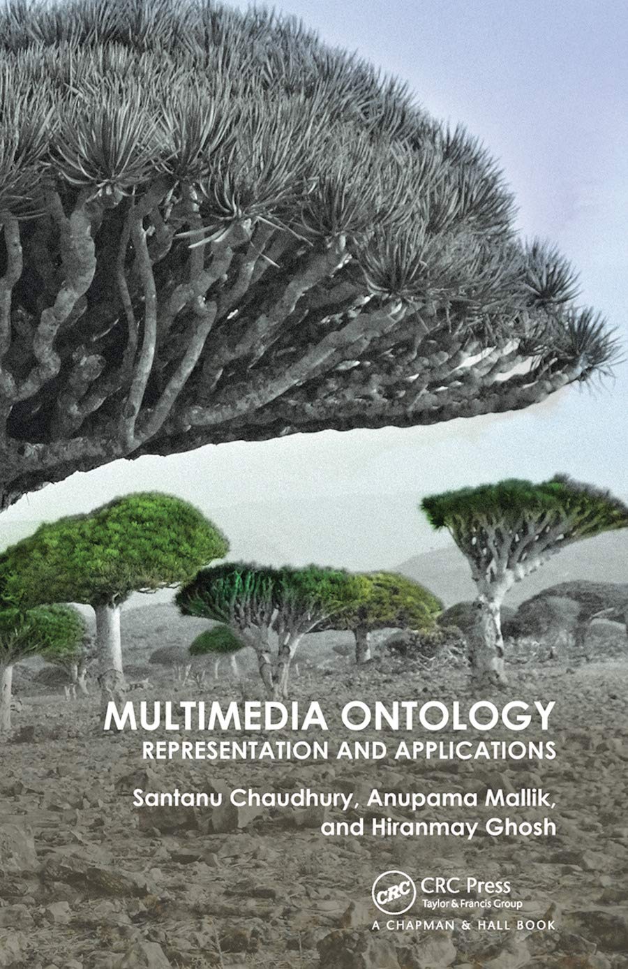 Multimedia Ontology: Representation and Applications,New