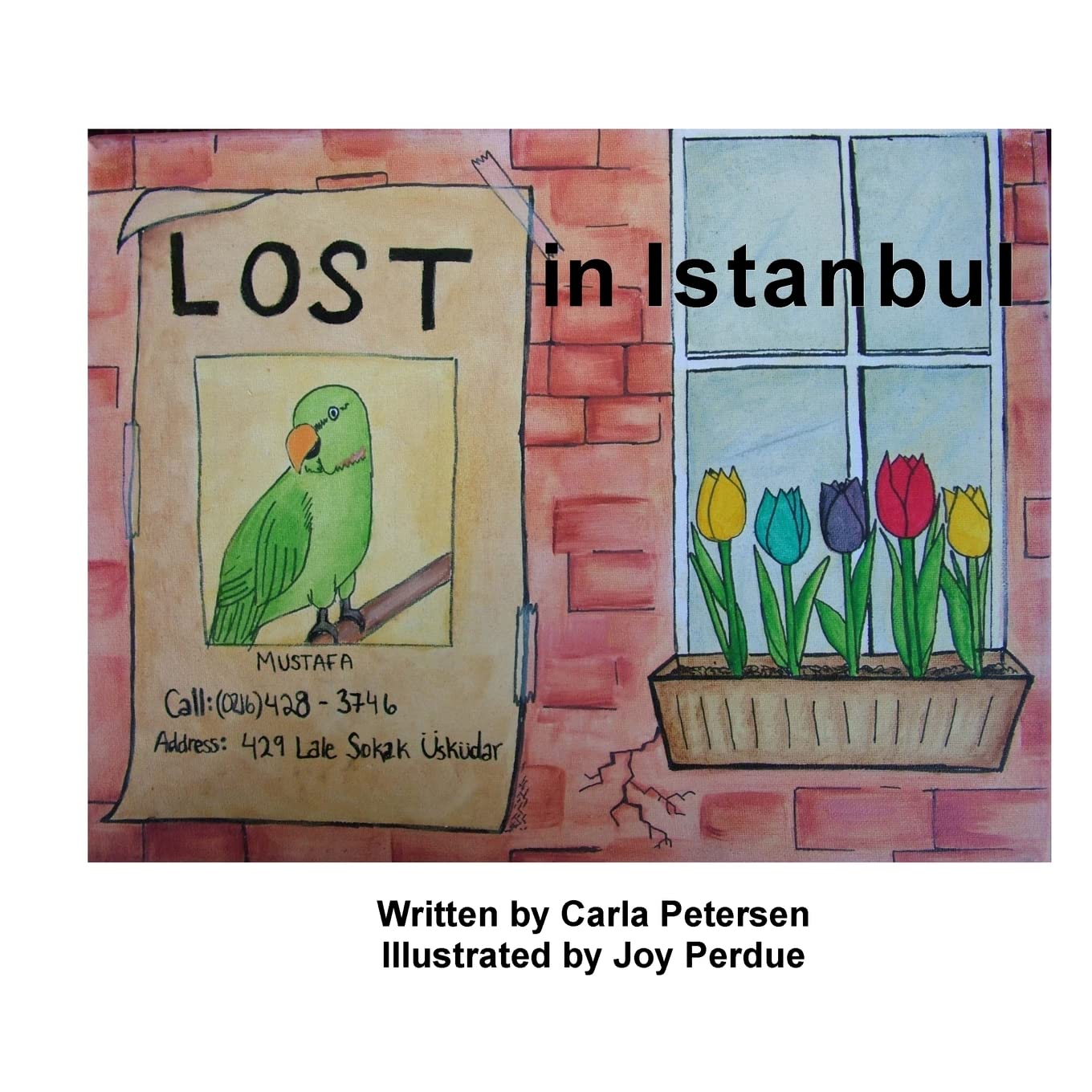 Lost in Istanbul,Used