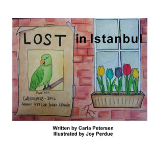 Lost in Istanbul,Used