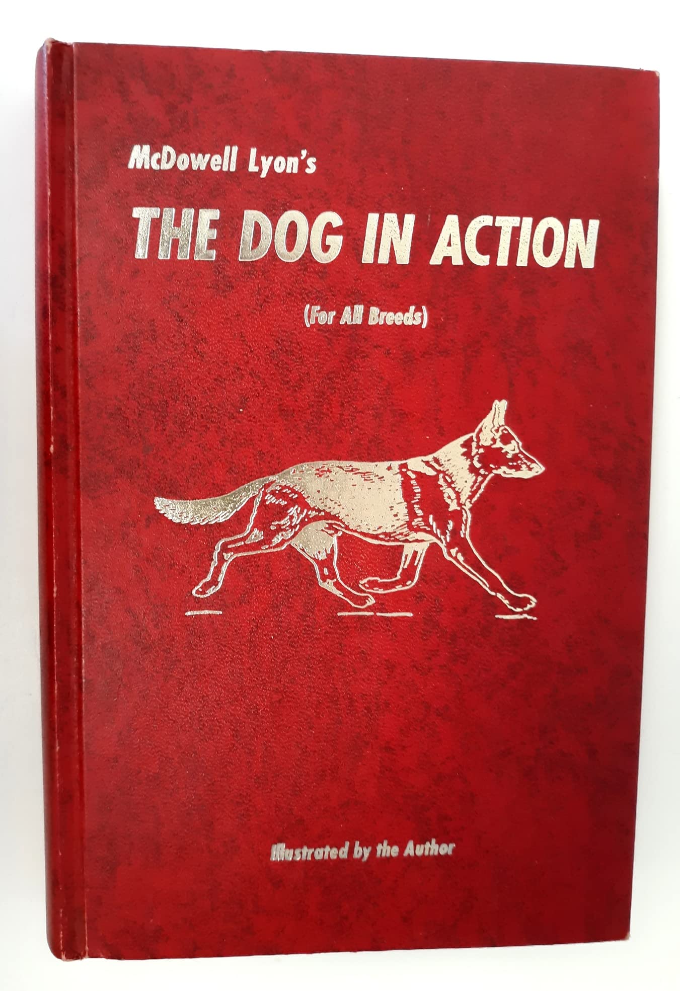 The Dog In Action: A Study Of Anatomy And Locomotion As Applying To All Breeds