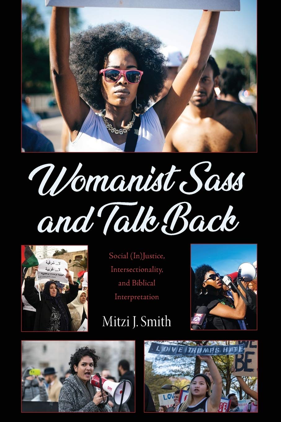 Womanist Sass and Talk Back: Social (In)Justice, Intersectionality, and Biblical Interpretation,Used