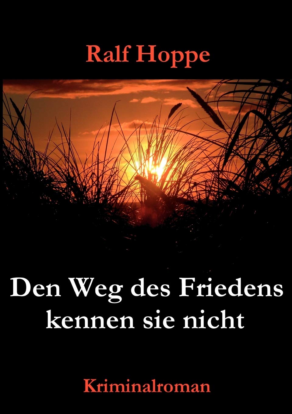 Den Weg des Friedens kennen sie nicht (German Edition),Used