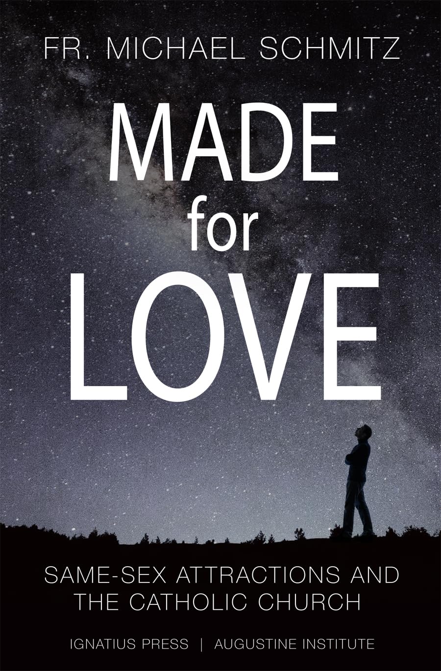 Made for Love: SameSex Attraction and the Catholic Church,Used