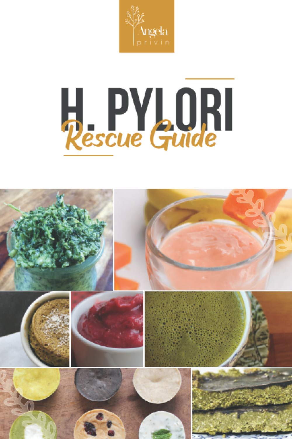 H. Pylori Rescue Guide,Used