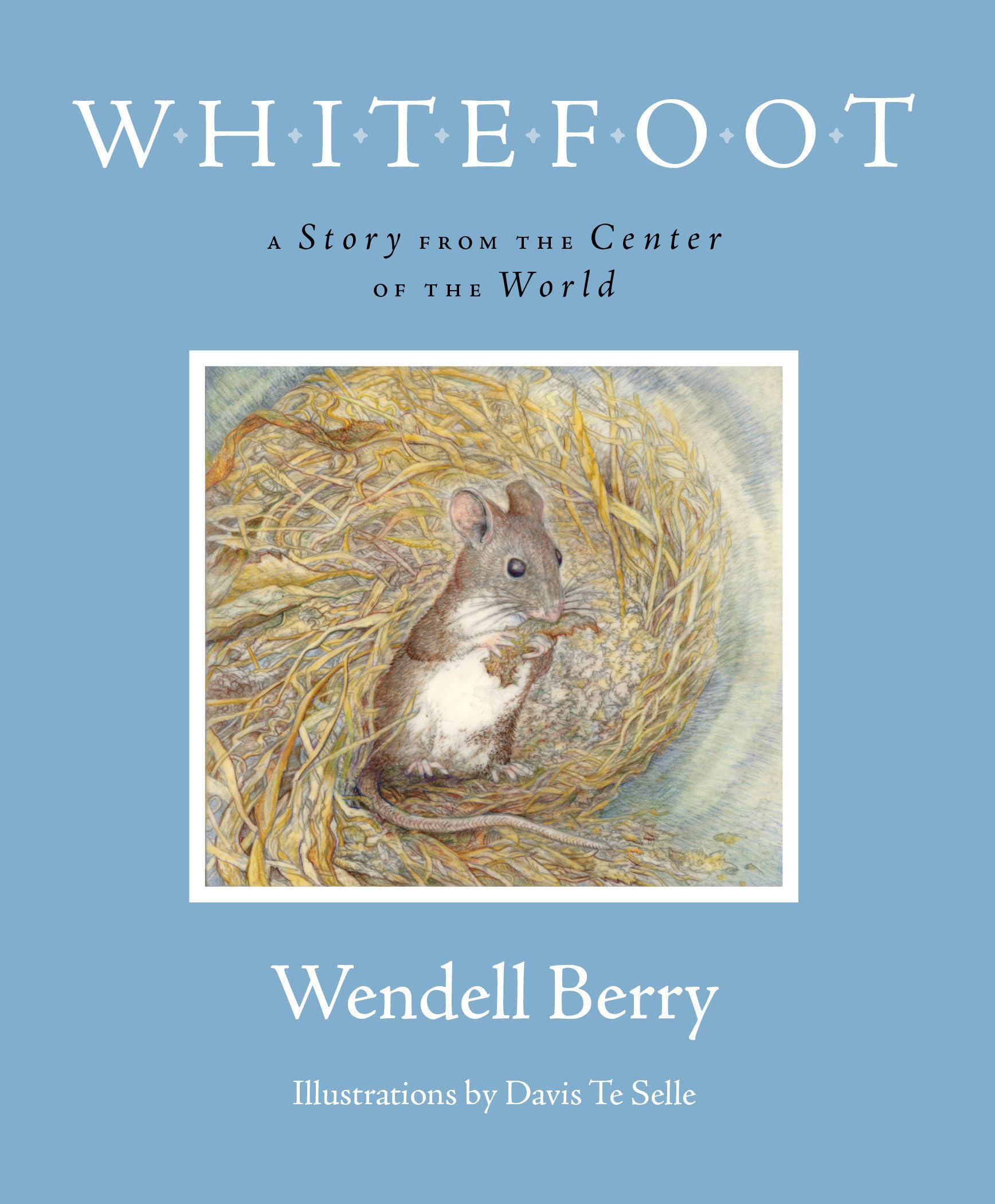 Whitefoot: A Story from the Center of the World,Used