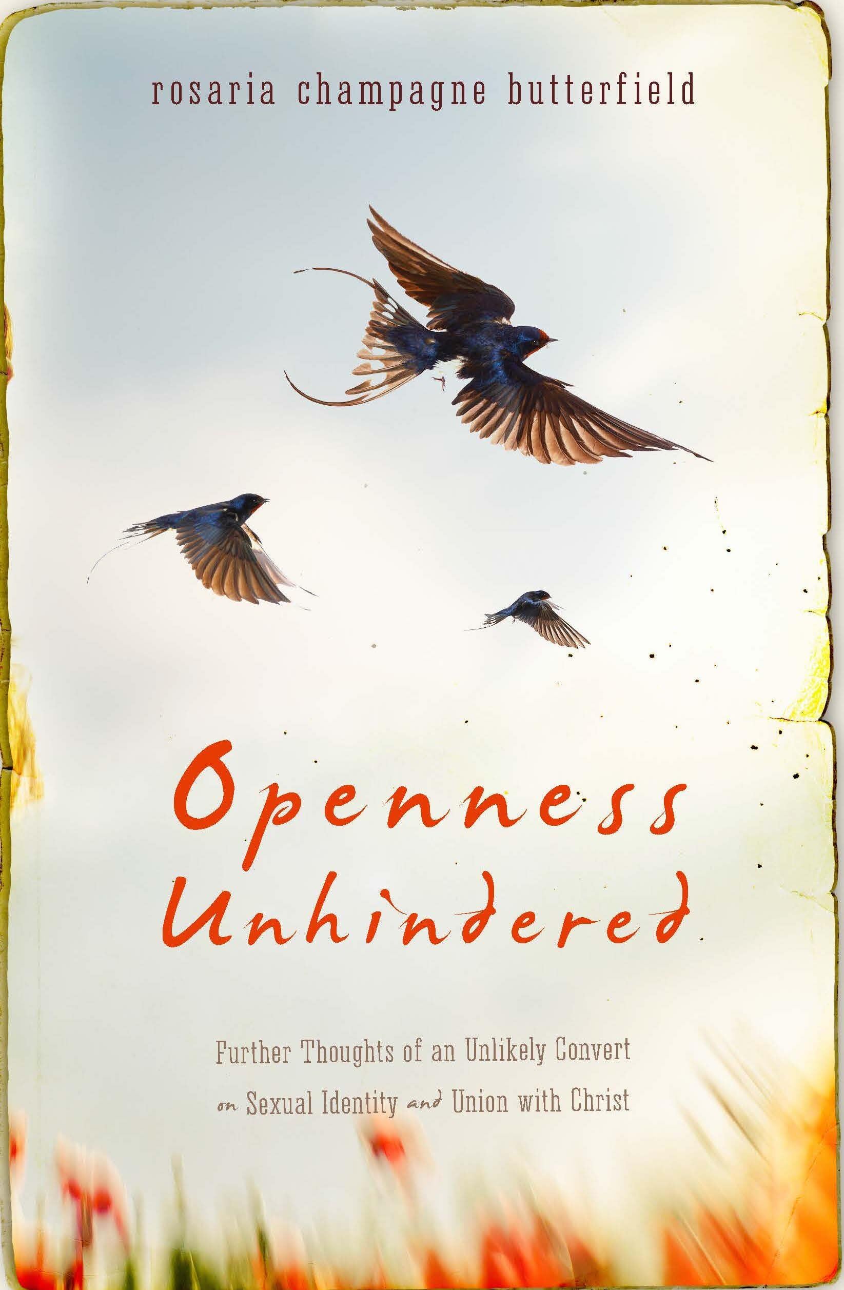 Openness Unhindered: Further Thoughts of an Unlikely Convert on Sexual Identity and Union with Christ,Used