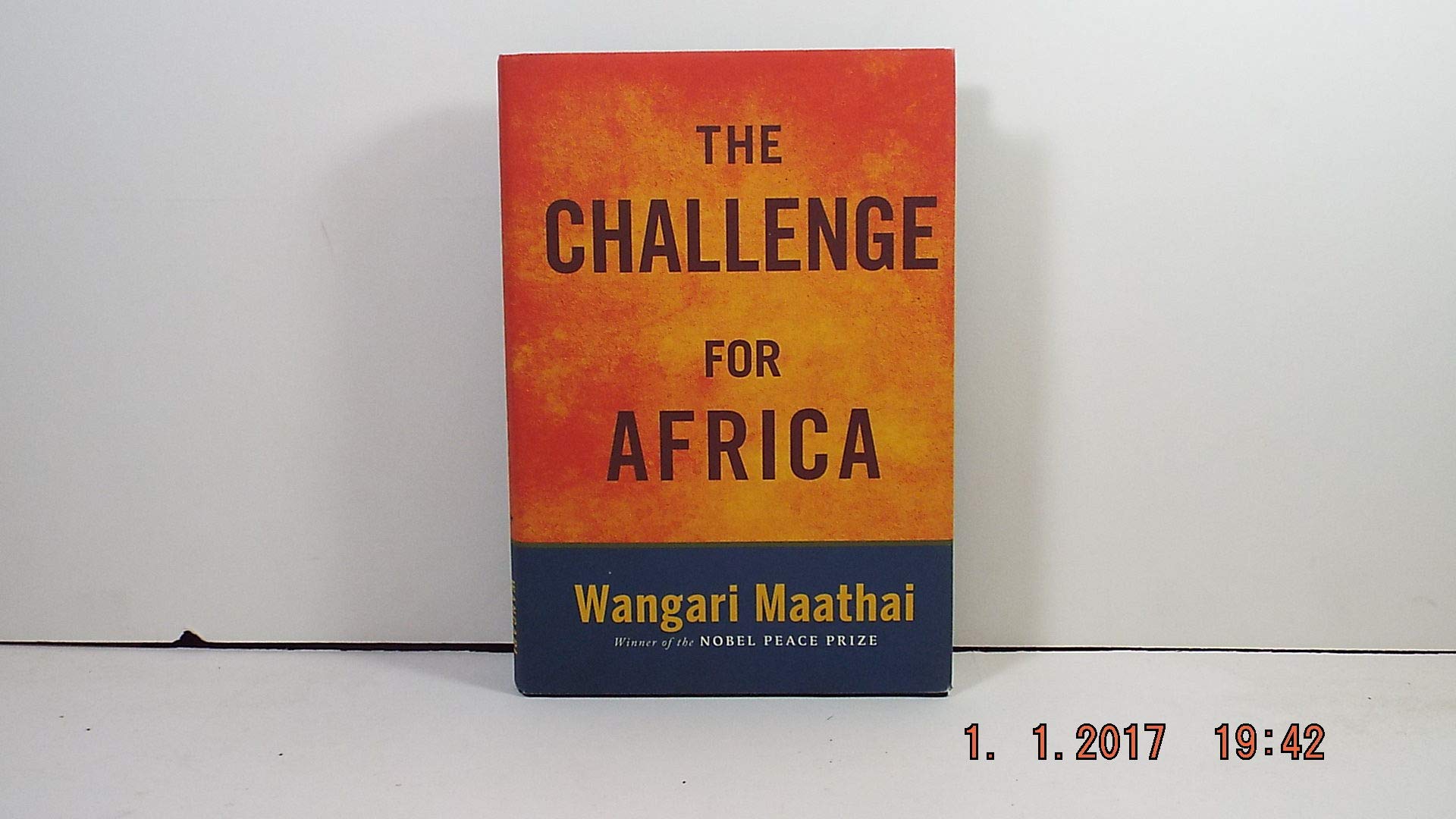 The Challenge For Africa