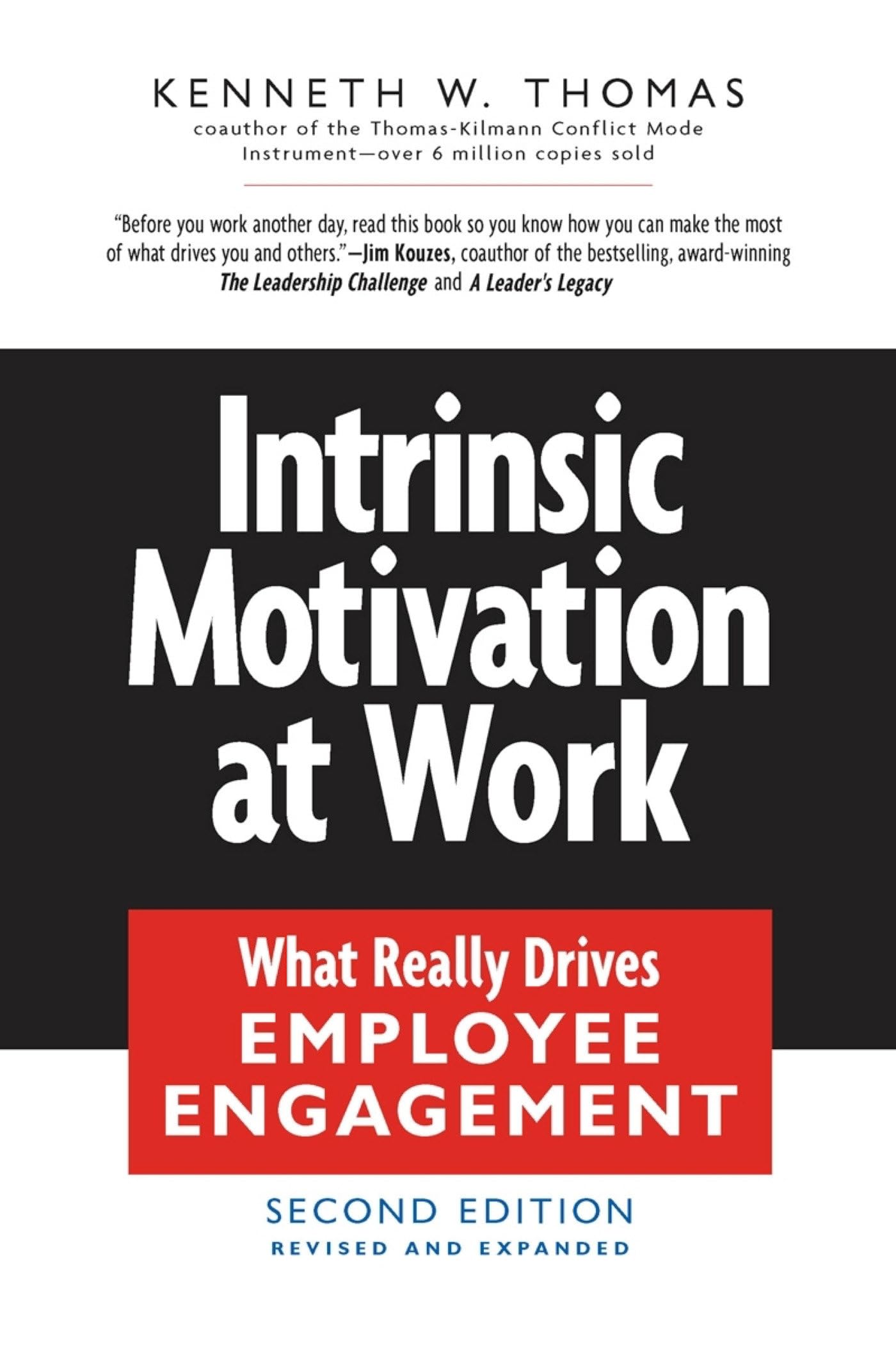 Intrinsic Motivation at Work: Building Energy and Commitment,Used