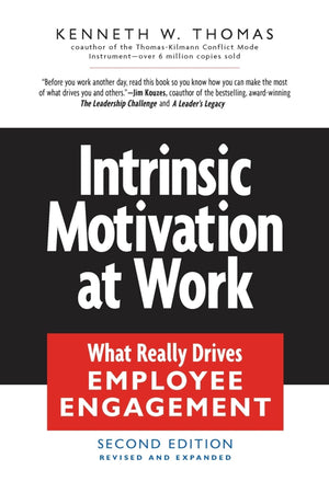 Intrinsic Motivation at Work: Building Energy and Commitment,Used
