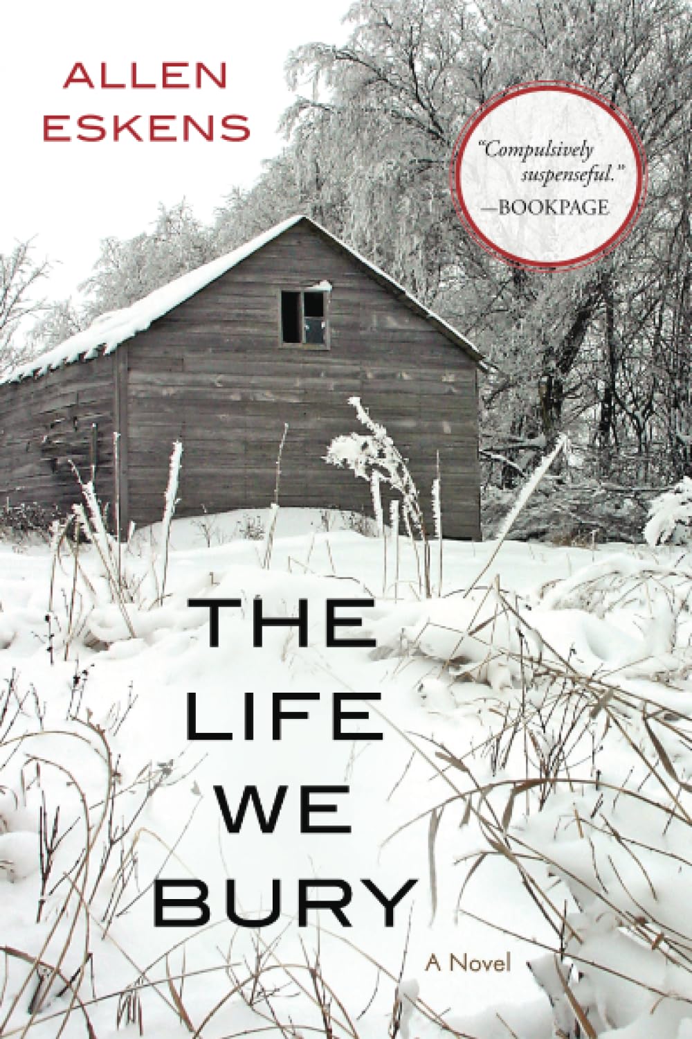 The Life We Bury,New