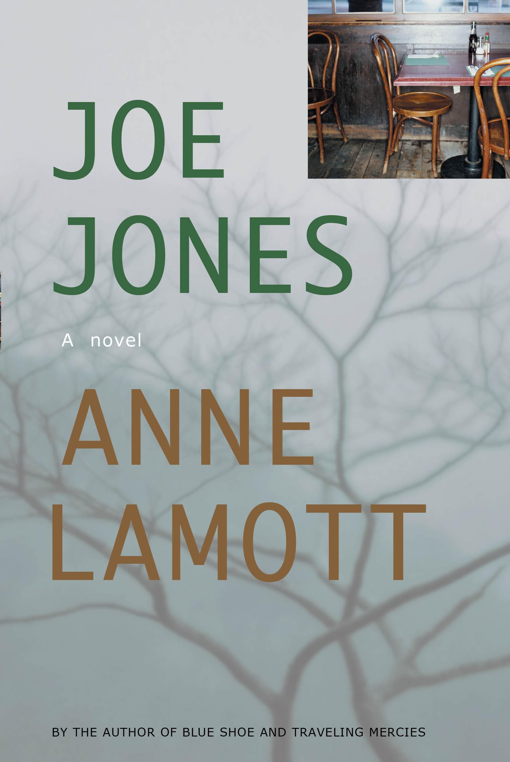 Joe Jones: A Novel,Used