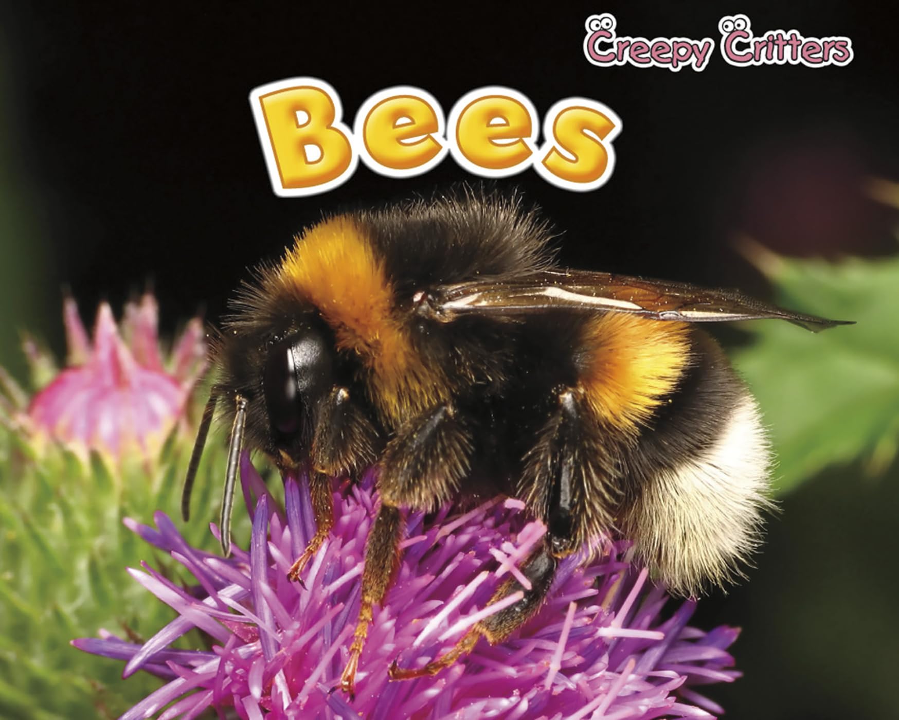 Bees (Creepy Critters),Used