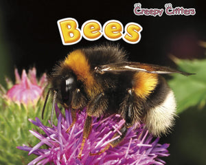 Bees (Creepy Critters),Used