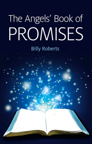 The Angels' Book of Promises,Used