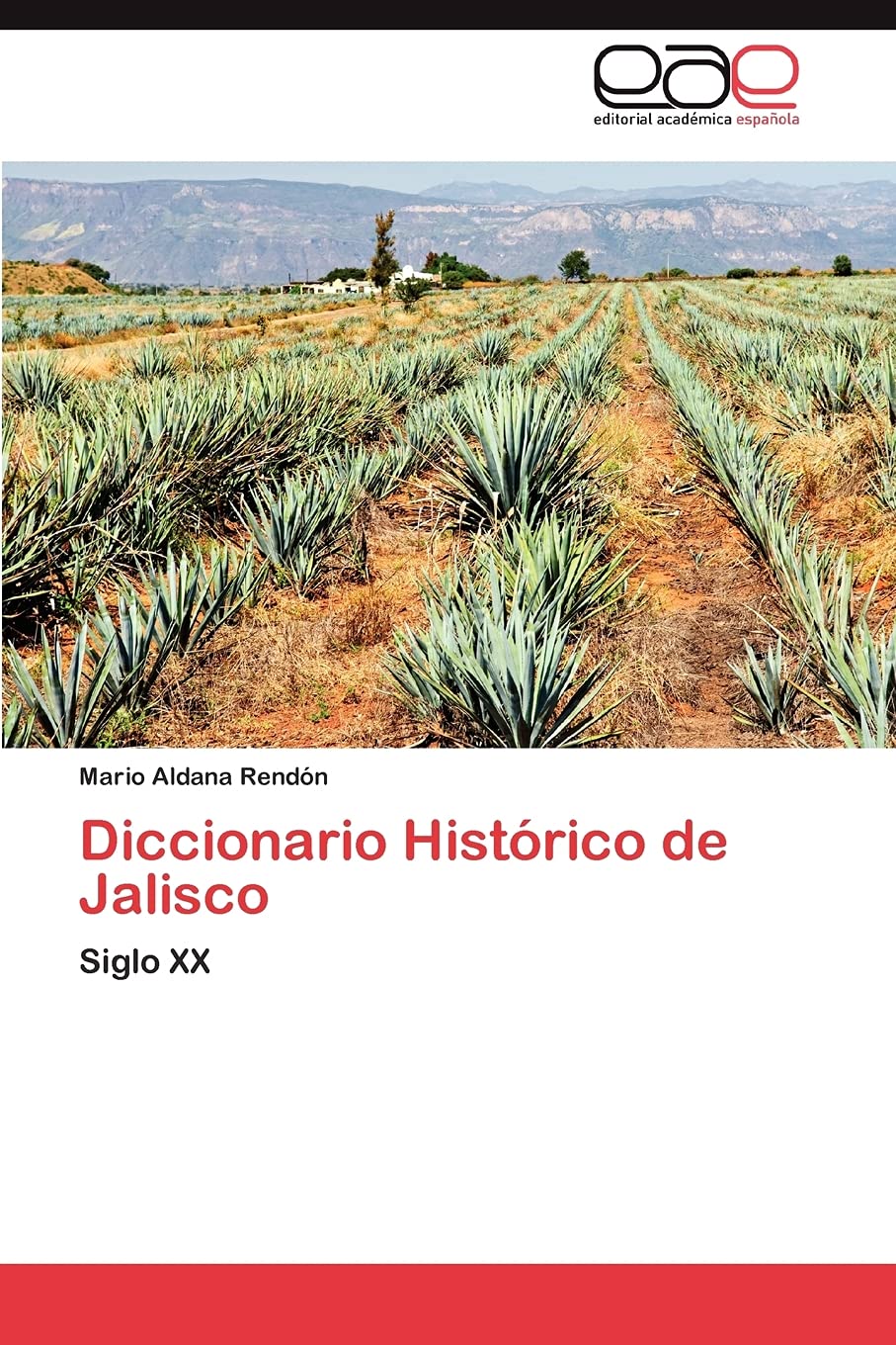 Diccionario Histrico de Jalisco: Siglo XX (Spanish Edition),Used