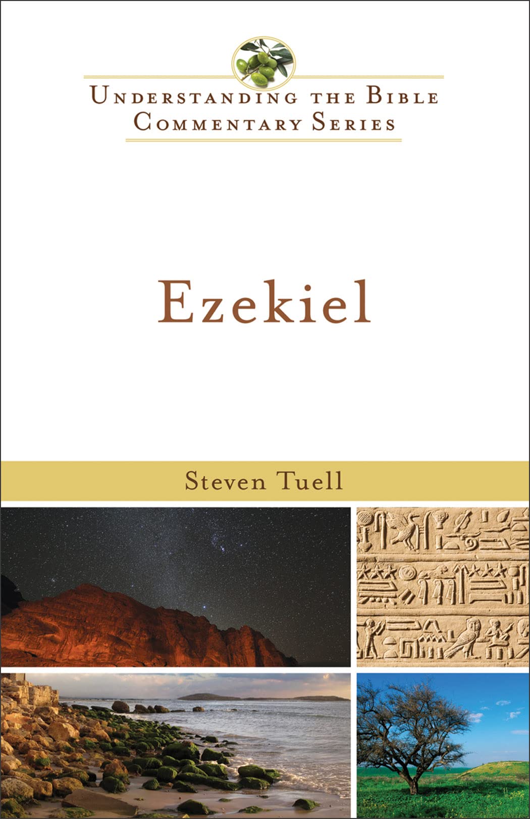 Ezekiel (Understanding The Bible Commentary Series),New