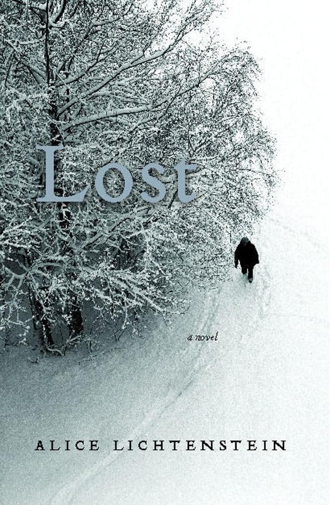 Lost: A Novel,Used