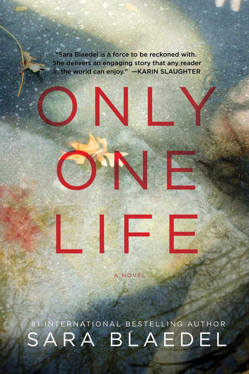 Only One Life: A Novel,Used
