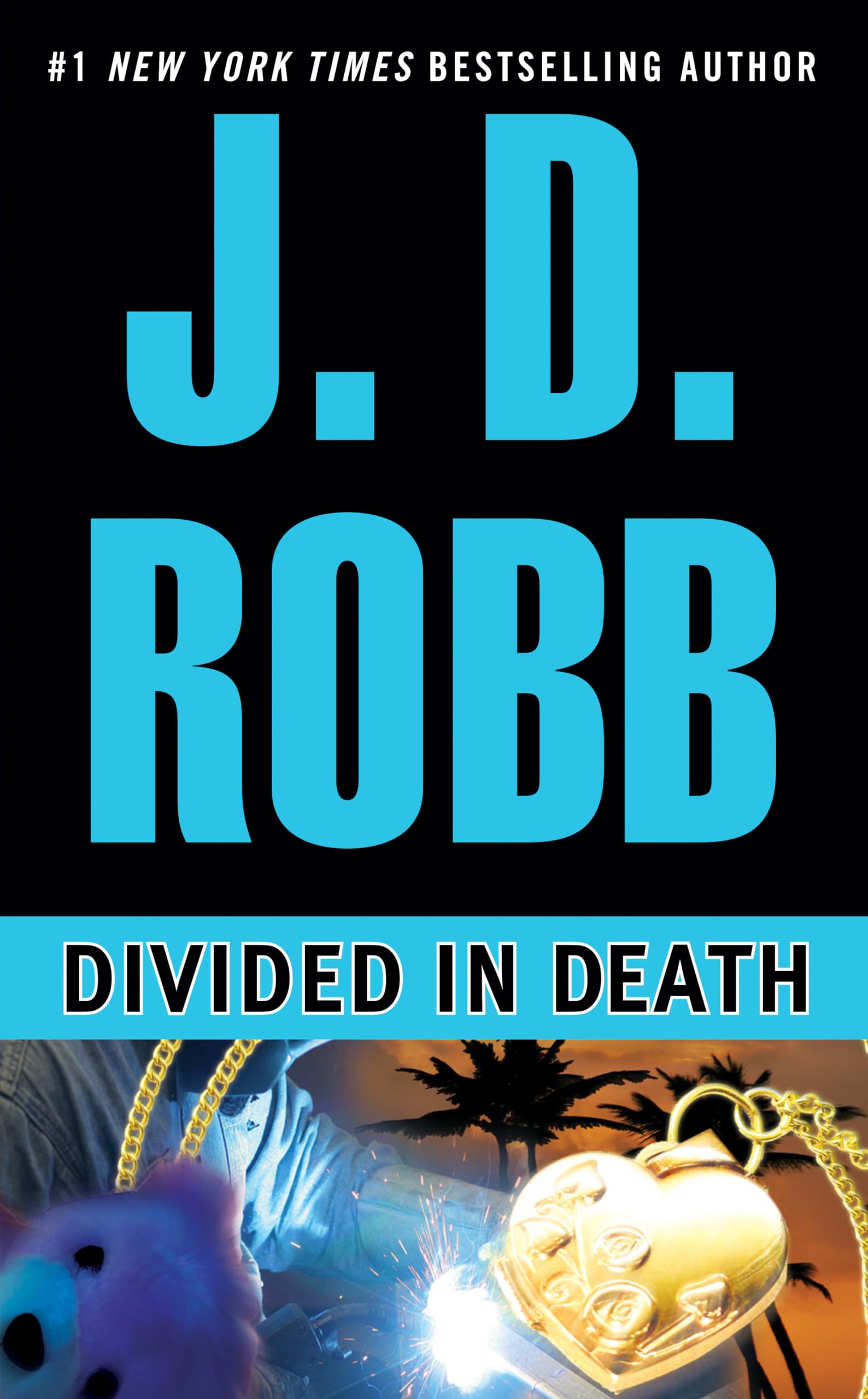 Divided in Death,Used