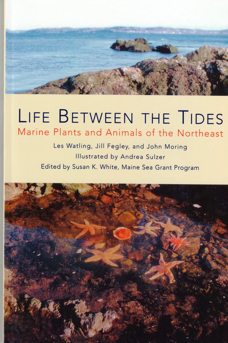 Life Between the Tides: Marine Plants and Animals of the Northeast,Used
