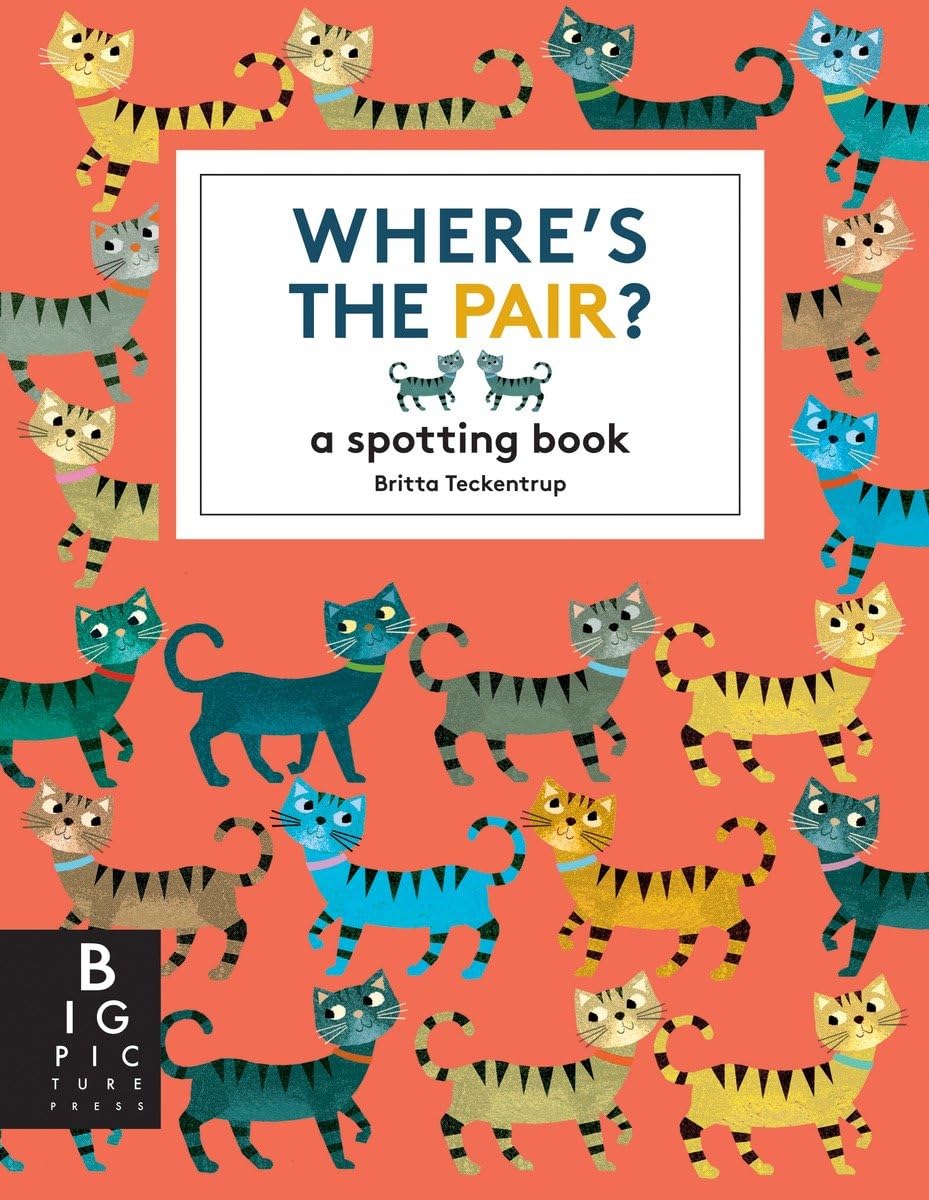 Where's the Pair?,Used