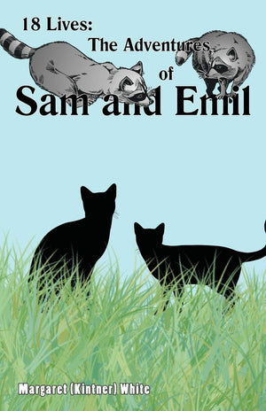 18 Lives: The Adventures of Sam and Emil,Used