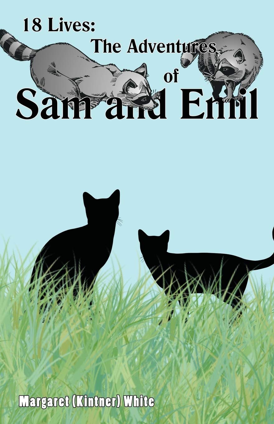 18 Lives: The Adventures of Sam and Emil,Used