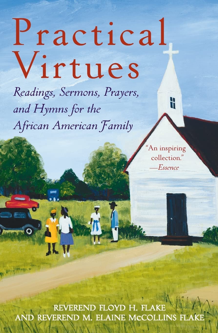 Practical Virtues,Used