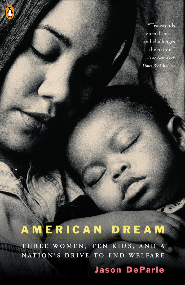 American Dream: Three Women, Ten Kids, and a Nation's Drive to End Welfare,Used