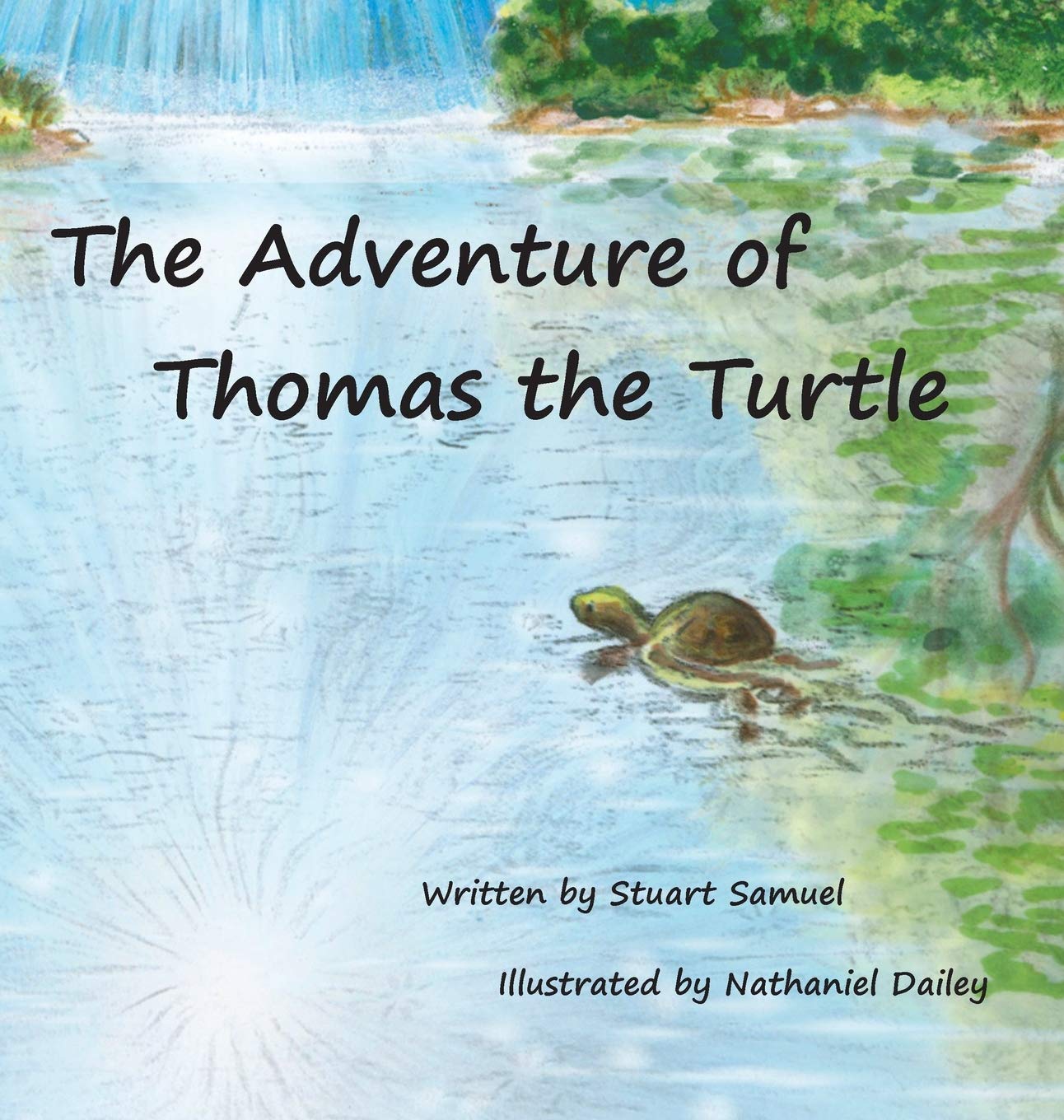 The Adventure of Thomas the Turtle,Used