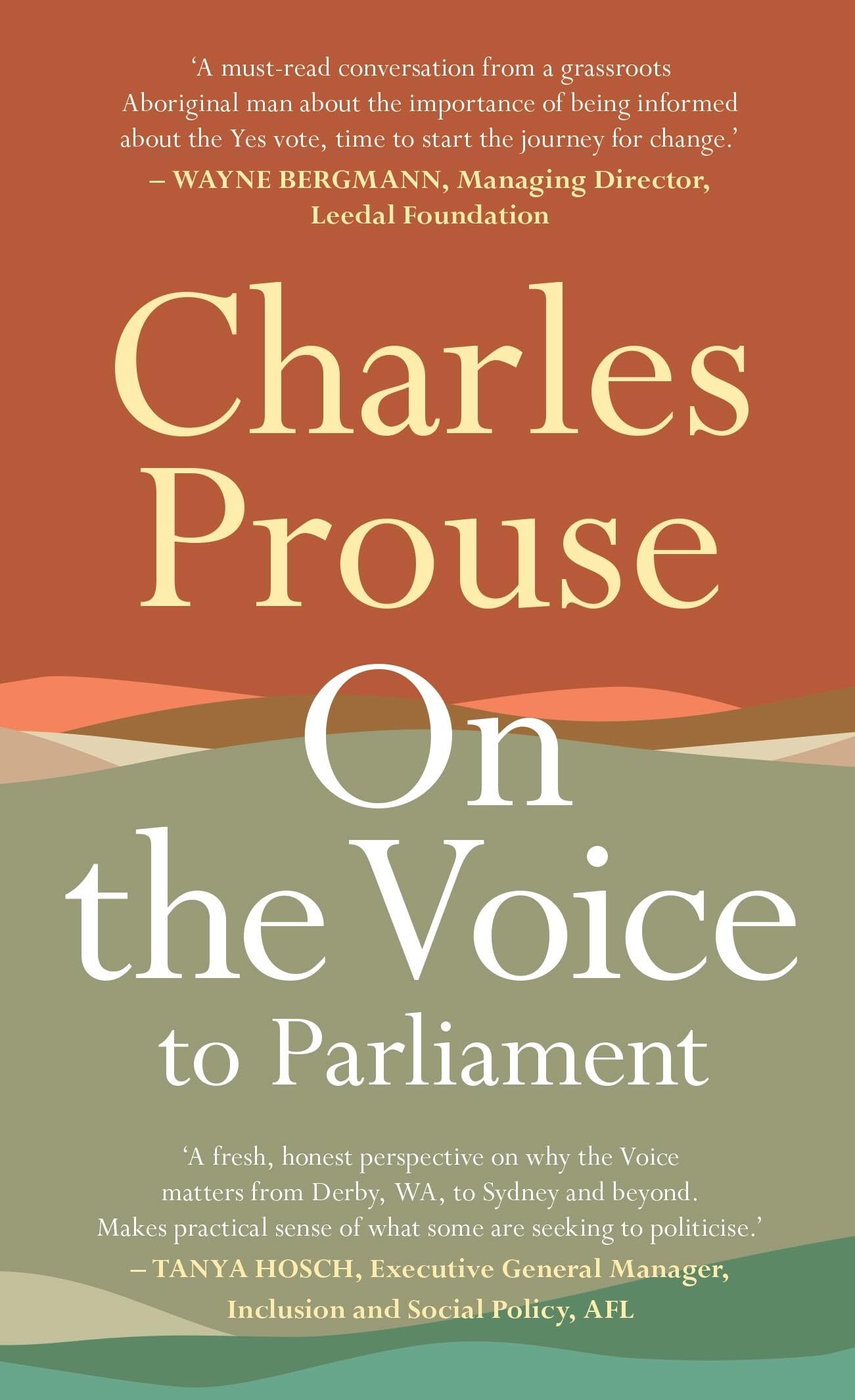 On The Voice To Parliament